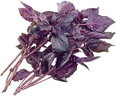 Базилик красный свежий 50г-0}