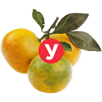 Мандарины УЦЕНКА ~ 1кг-0}