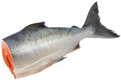 Кета дикая крутогоровская потрошеная без головы ~3,5кг