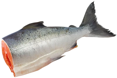 Кета дикая крутогоровская потрошеная без головы ~3,5кг-0}