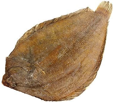 Морской язык, ~ 1,3кг-0}