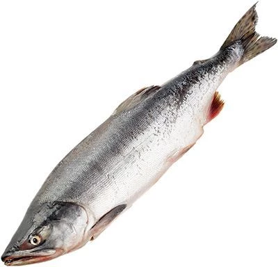 Лосось ранний горбуша Япономорская ~ 1,8кг-0}