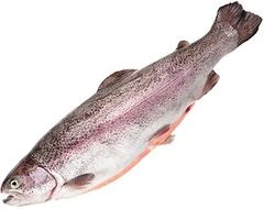 Форель морская охлажденная потрошеная ~1,75кг