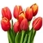 thumb-Букет красно-желтых тюльпанов 9шт-0}