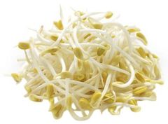 Проростки бобов сои 450г