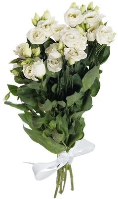 Букет Лизиантусов белых 5шт-0}