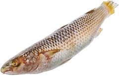 Кефаль азовская тушка ~1,2кг