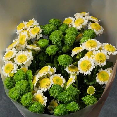 Букет хризантем Настроение осень! 9шт-1}