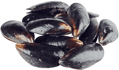 Мидии в томатно-чесночном соусе 500г-0}