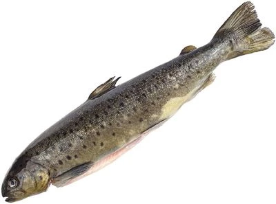 Форель горно-ручьевая замороженная ~ 600г-0}