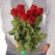 thumb-Роза Мадам Ред ~50см 1шт-1}