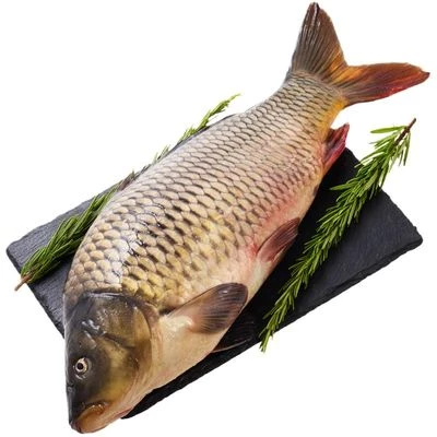 Карп тушка ~1.75кг-0}