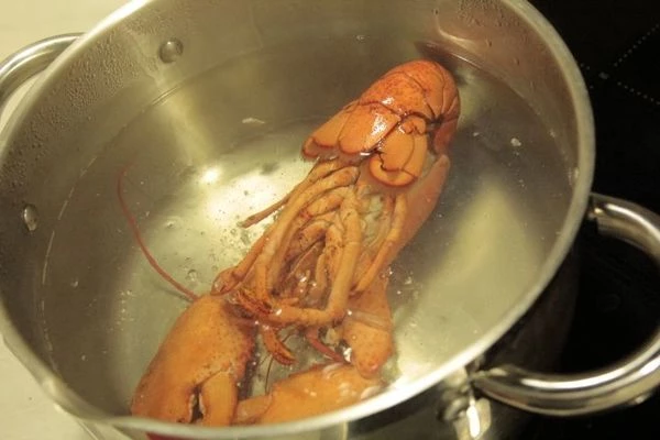 Лобстера разморозить естественным путем, на нижней полке холодильника на дренаже. Промыть. Опустить на 2-3 минуты в теплую воду, обсушить бумажным полотенцем