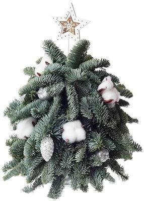 Букет новогодний Ёлочка Снегурочки -0}