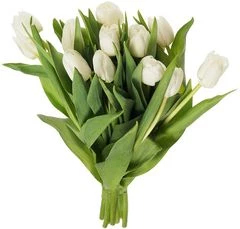 Букет белых тюльпанов 15шт
