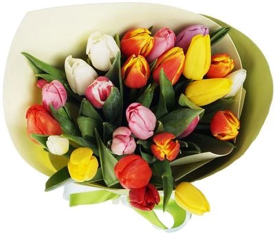 Букет тюльпанов Улыбка весны 25шт -1}
