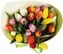 thumb-Букет тюльпанов Улыбка весны 25шт -1}