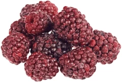 Ежевика Македония 250г