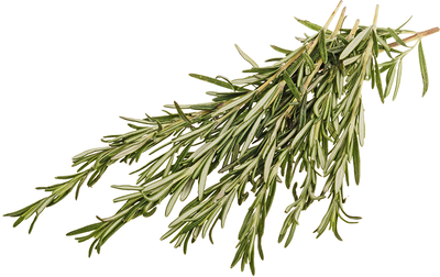 Розмарин свежий 50г-0}