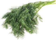 Укроп свежий Тульская область 50г