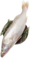 Судак целый замороженный ~2,5кг