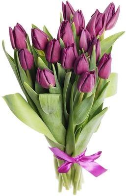 Букет фиолетовых тюльпанов 15шт-0}