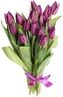 thumb-Букет фиолетовых тюльпанов 15шт-0}