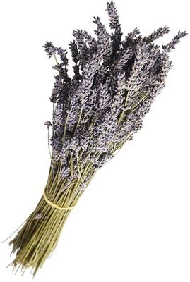 Лаванда сушеная для букетов-0}