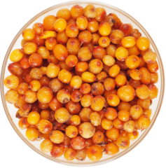 Облепиха садовая Алтайский край 500г