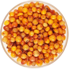 Облепиха садовая Алтайский край 500г