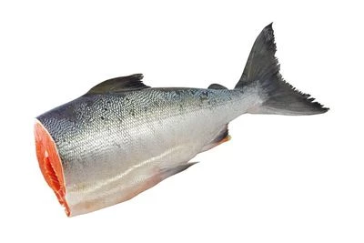 Кета дикая Камчатка ~1,5кг-0}