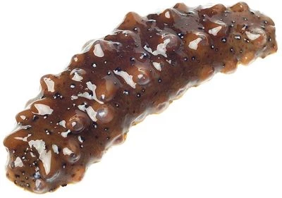 Трепанг живой ~40г-0}