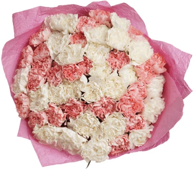 Букет гвоздик №70 Праздник души 49шт-1}