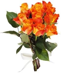 Букет роз Мари Клер 9шт