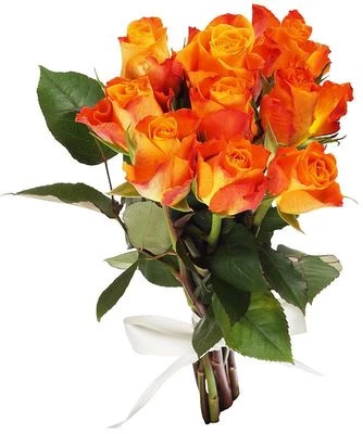 Букет роз Мари Клер 9шт-0}