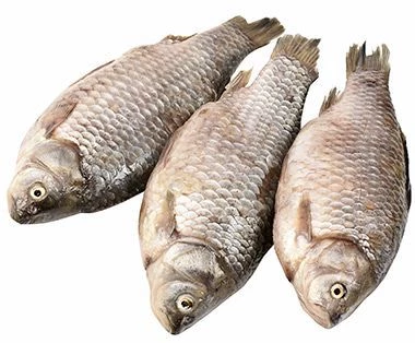 Карась кобяйский ~1,2кг-0}