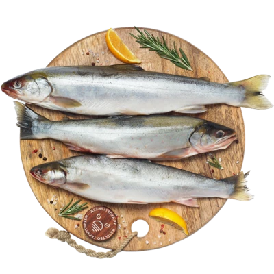 Голец камчатский тушка ~1.2кг-0}