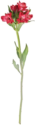 Альстромерия красная ~60 см 1шт-0}