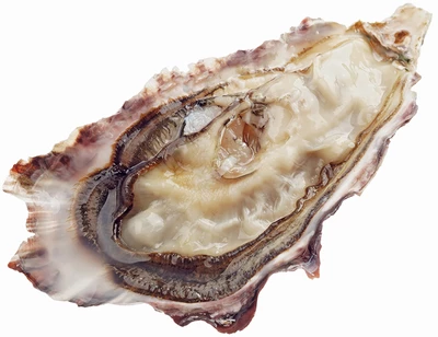 Устрица Осака 1шт -0}