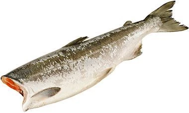 Нерка дикая Камчатская ~2,5кг-0}