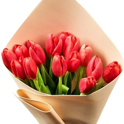 Букет тюльпанов красно белых 15шт-0}