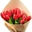 thumb-Букет тюльпанов красно белых 15шт-0}