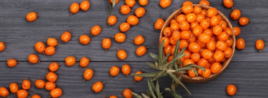 Кладезь витаминов