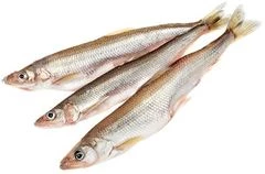 Корюшка малоротая мелкая  ~1кг