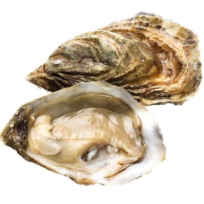 Устрица Ла Перл Нуар-1}