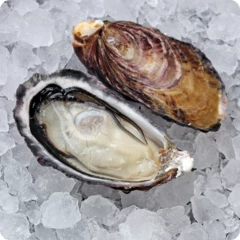 Устрица Оита Япония 