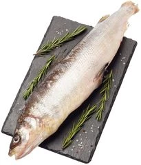 Муксун таймырский ~1,2кг