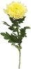 thumb-Хризантема Магнум желтая 1шт-0}