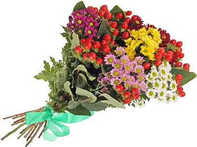 Гиперикум красный для букетов 1шт.-1}