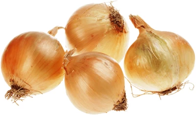 Лук репчатый Россия ~1кг-0}